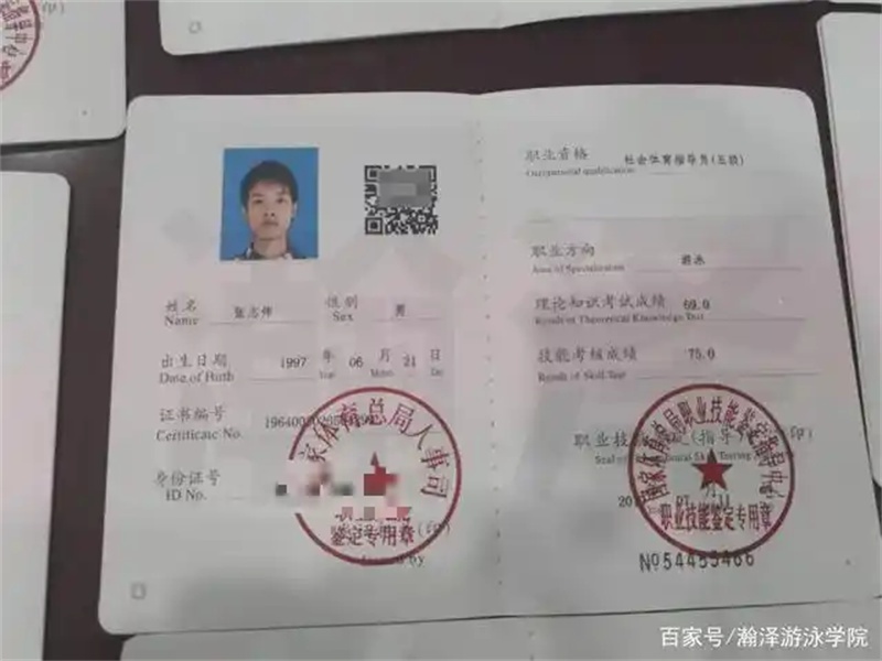 不同证件版式更新，制作时需要关注什么